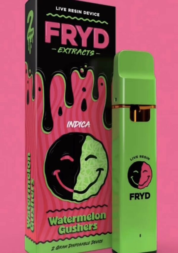 Fryd Watermelon Gushers 2G Disposable