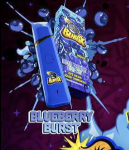 Blueberry Burst Disposable