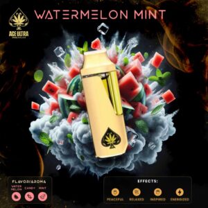 Ace Ultra Watermelon Mint 2g Disposable