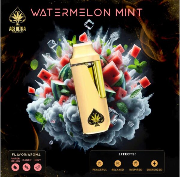 Ace Ultra Watermelon Mint 2g Disposable