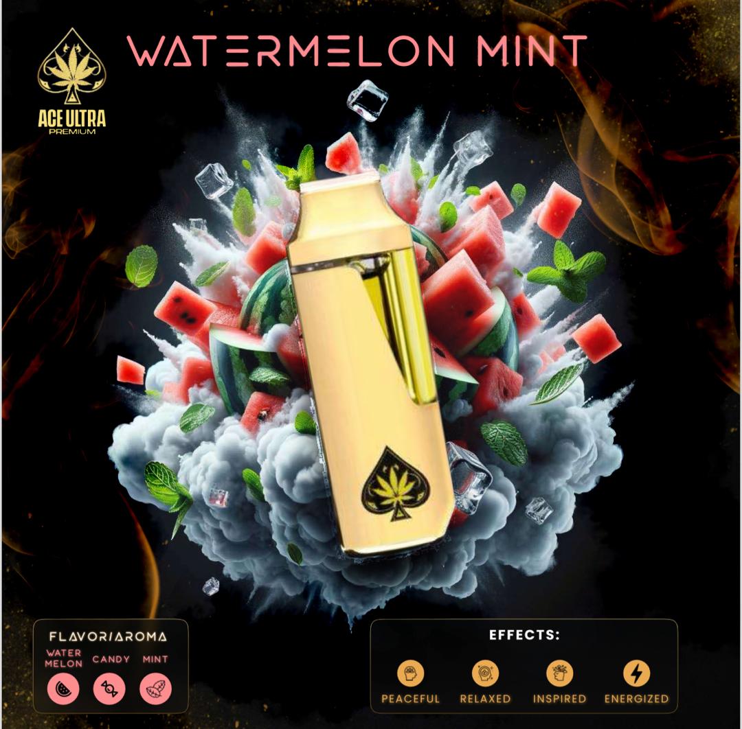 Ace Ultra Watermelon Mint 2g Disposable