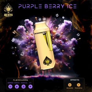 Ace Ultra Purple Berry Ice 2g Disposable