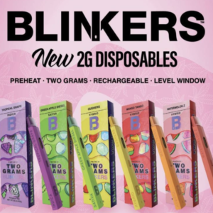 Blinkers 2g Disposable Vape