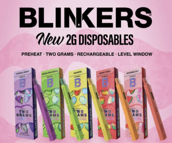 Blinkers 2g Disposable Vape